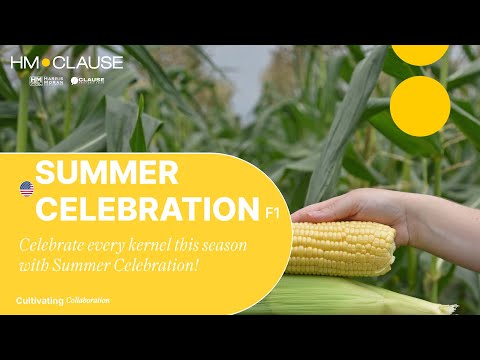 Video: SUMMER CELEBRATION SH2