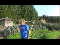 Creating Good Soil Back To Eden Garden L2Survive With Thatnub