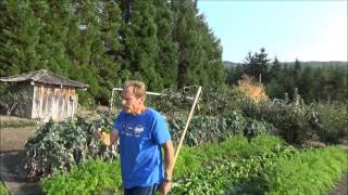 Creating Good Soil - Back To Eden Garden - L2Survive with Thatnub