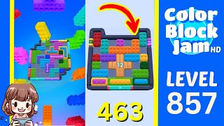 Color Block Jam 第 857 关攻略
