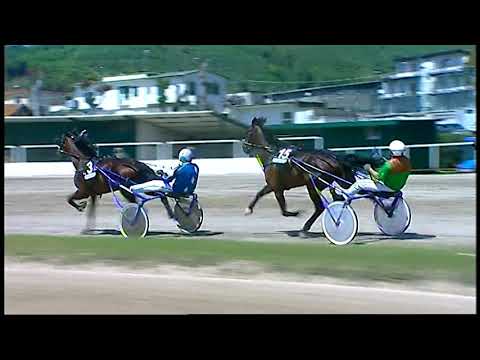 Napoli Trotto 08/05/2021 - 1ª corsa