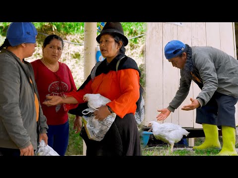 Mi suegra me vino a visitar | Don Lucho