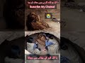 Allah Hu Akbar Qabar Ka Azab Whatsapp Status Video Shorts Trending Tiktok Viral Facts Yt
