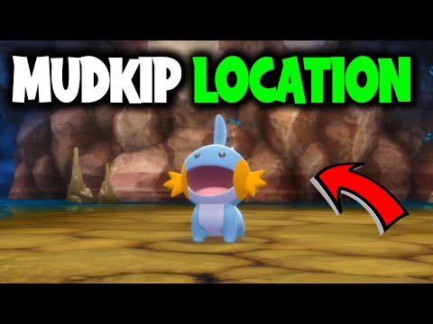 WHERE TO FIND MUDKIP ON POKEMON BRILLIANT DIAMOND AND SHINING PEARL
