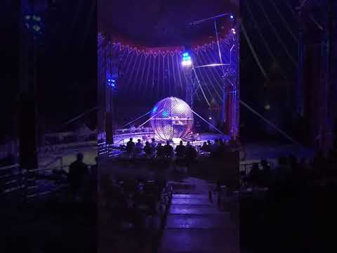 American circus, motory w kuli(2)