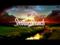 Deven Coleman - Broken Wings (Prod. Tido Vegas ...