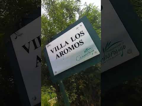 Tinguiririca.Comuna.Chimbarongo./Región De O"Higgins. @Shakira @A̹̔Alex1984