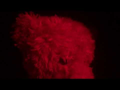 Cheap Productions Presents: “Trying To Find Out Myself” Season 1 Episode 8 “Room 20”