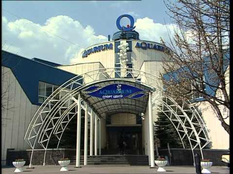 Відеоогляд