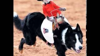 Phish and MMW repertoire tape