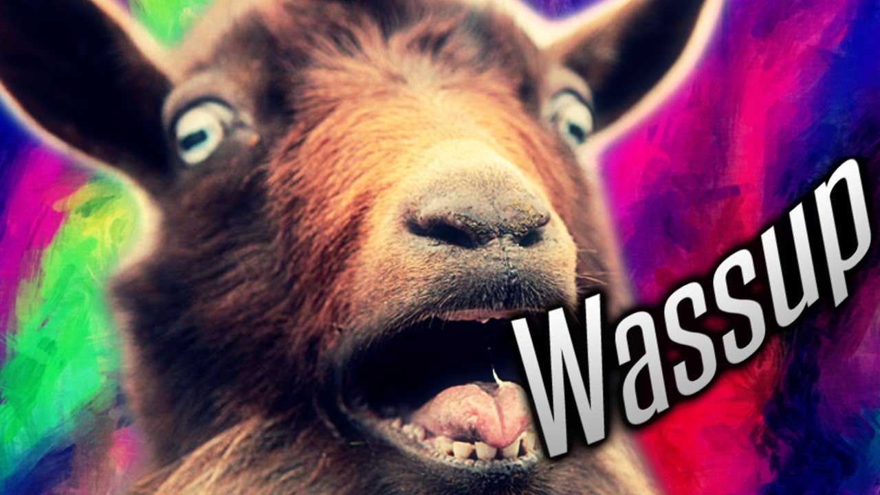 WASSUP GOAT ?! thumbnail