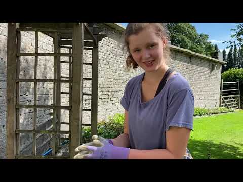 HOW TO RUN A NURSERY...WEEK 31/52