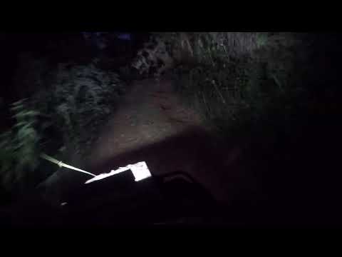 trilha noturna - boi preto rio dos cedros