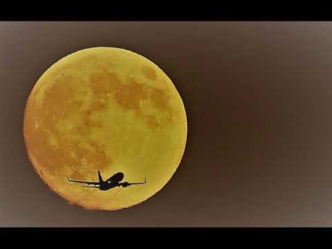 Fly Me to The Moon (Disco Pirates Remix)