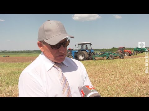 Мастер-класс по кормозаготовке от губернатора (22.05.2019)