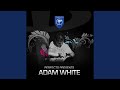Perfecto Presents Adam White Continuous Mix