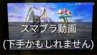 スマブラが楽しい