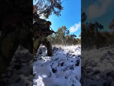 The last fall… ⛄️ #highcountry #sako #sambarhunting