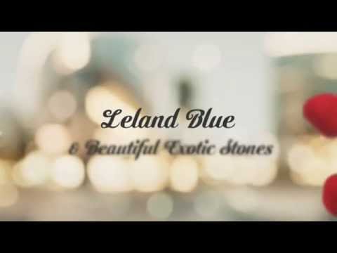 download lagu mp3 mp4 Michigan Petoskey Stone Necklace, download lagu Michigan Petoskey Stone Necklace gratis, unduh video klip Michigan Petoskey Stone Necklace