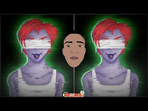 MC R10- MODO BIRD BOX- R10 O PINTA