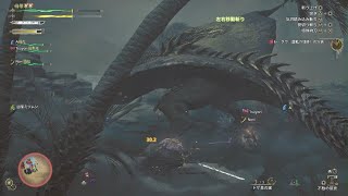 Monster Hunter Wilds　ひっでぇラグ