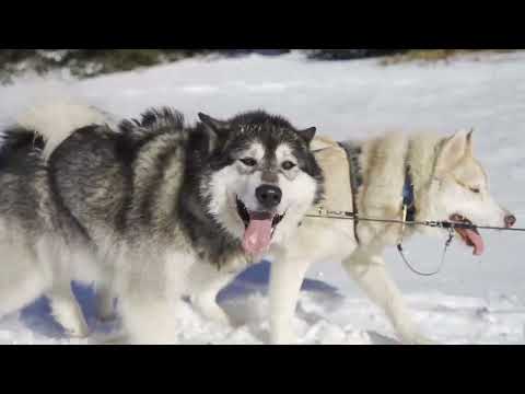 St.Gervais Mont-Blanc Winter Teaser