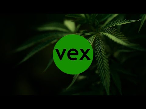 Morty x Messe x JAX - Feed Dem Marijuana