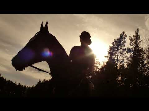 TERRAPIE ft. Miro Smajda - Ideál (Official Video)