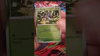 #47.1 Pokemon TCG Fatale Flammen