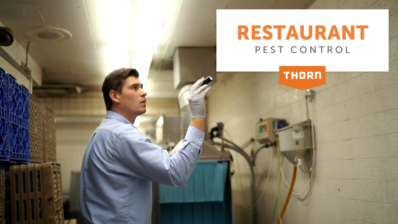 Keep Your Restaurant Pest Free