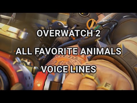 Overwatch 2 - All Favorite Animals Voice Lines Lucio Question OW2 [Updated]