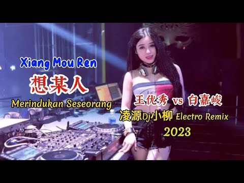 王优秀 vs 白嘉峻 - 想某人 - Xiang Mou Ren - (凌源Dj小柳 Electro Remix 2023) - Merindukan Seseorang #dj抖音版2023
