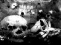 virgin prunes - theme for thought 
