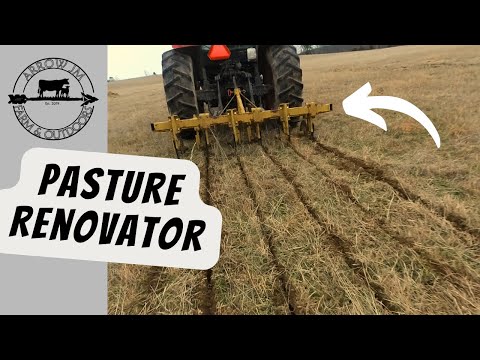 Thicken Up Bermudagrass Pasture? - Hay King Pasture Renovator Pasture Improvement