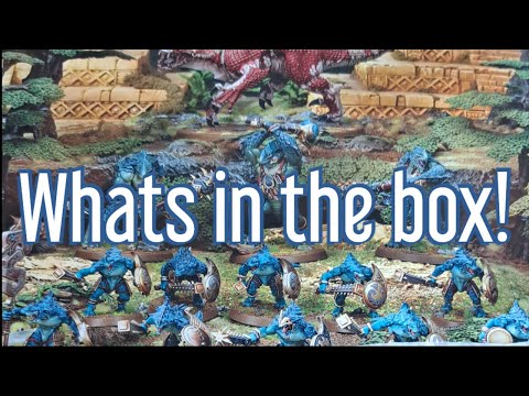 Unboxing Seraphon Vanguard boxset.