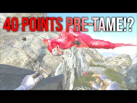 Best Argy I've EVER Seen! - MTS Beginners PVP Ep. 2 - Ark: Survival Evolved