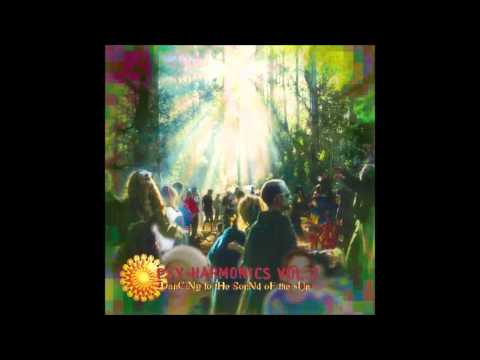Sonic Sufi - Peculiar Splendor