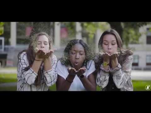 Delta Gamma | The Ohio State University 2018