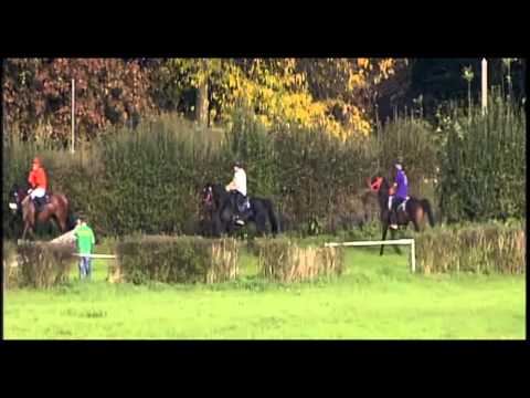 Reitpferderennen Leipzig 18.10.14