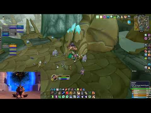 WoW TBC Classic Tempest Keep - Feral Druid