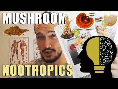 Fungi Nootropics Lion's Mane Mushroom, Red Reishi, Cordyceps Militaris, Chaga Benefits💯 Video