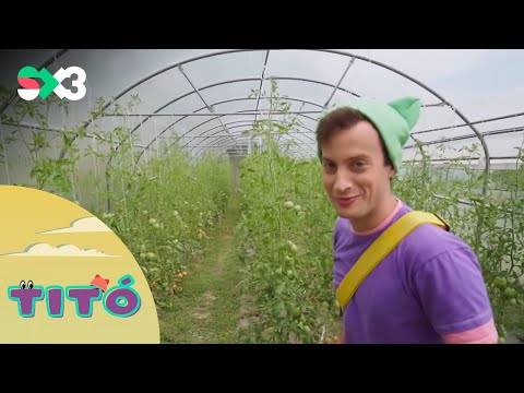 Excursió a l'hort | Titó