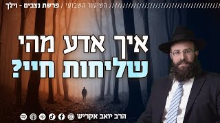 איך אמצא את שליחות חיי? | פרשת נצבים וילך (הרב יואב אקריש) - התמונה מוצגת ישירות מתוך אתר האינטרנט יוטיוב. זכויות היוצרים בתמונה שייכות ליוצרה. קישור קרדיט למקור התוכן נמצא בתוך דף הסרטון