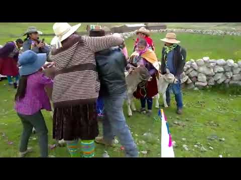 Roger Chino - Soltera Suwa Carnaval