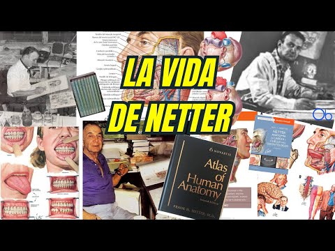 La vida de Netter 🎨🖌️🩺⚕️📚