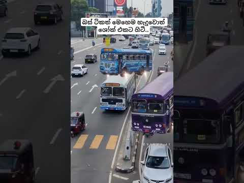 air bus