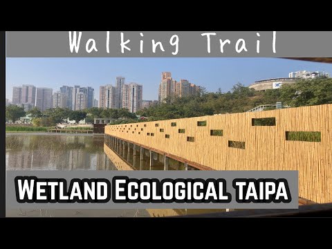 Wetland Ecological Taipa | Macao Walking Trail