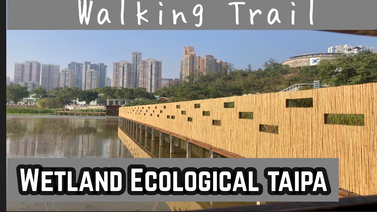 Discover lush wetland vegetation and diverse bird species in Ecological Park