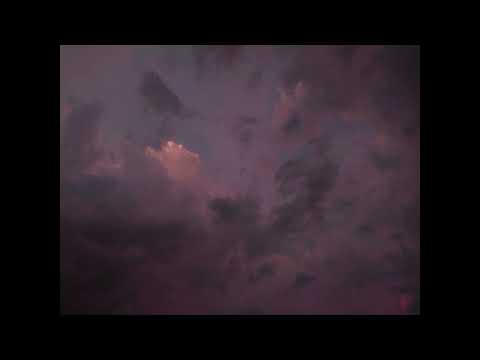 Pelva Naik | Raga Puriya Dhanashree | Dhrupad Alāp