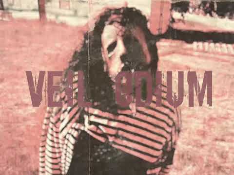 JRAL - VEIL ODIUM (NEW ALBUM)